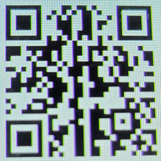 tamagotchi party pix
